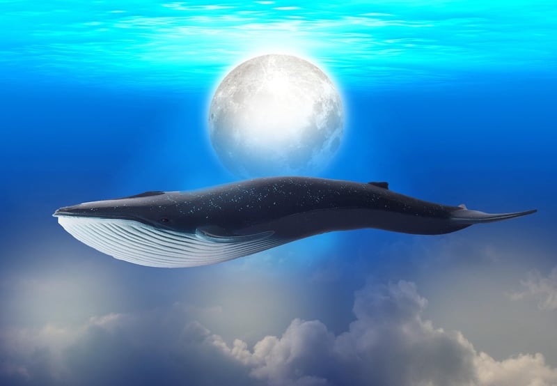 Imaginary seascapes